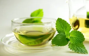 A borsmenta gyógyító tulajdonságokkal, előnyök és ellenjavallatok tea, olaj