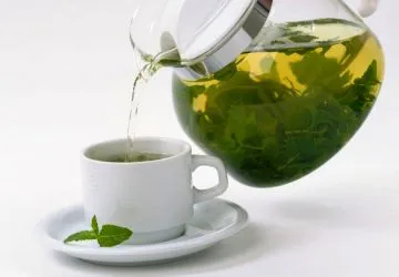A borsmenta gyógyító tulajdonságokkal, előnyök és ellenjavallatok tea, olaj