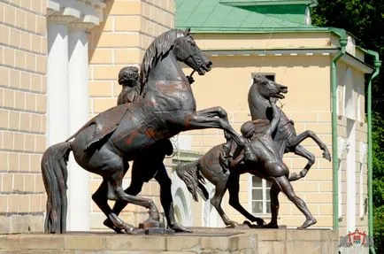 grajduri muzică Pavilion