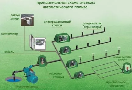 Помпи за автоматична напоителна система за автоматично, най-вече как да изберем