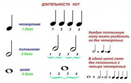 Имената на продължителността на звуците и техните символи бележки