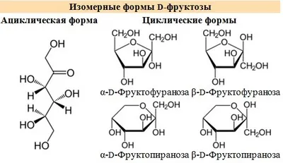 fructosemia