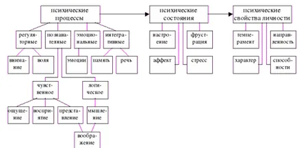 Obiectul și subiectul psihologiei, categoriile de bază ale psihologiei ca știință - psihologia ca știință