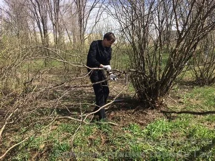 Știri din oraș administrație Guy