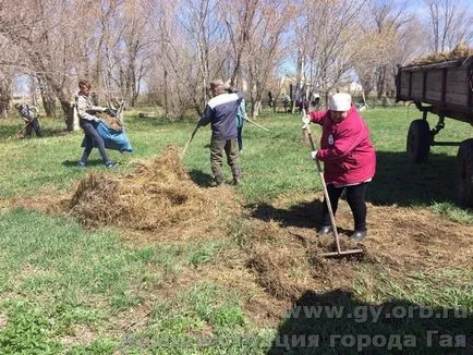 Новини от градската администрация Guy