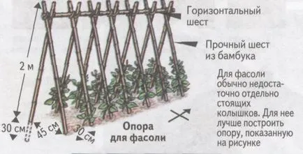 Опори за растения със собствените си ръце Член хасиенда