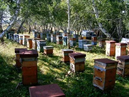 организация производството на мед