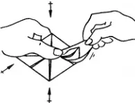 Origami crin schema - schema de asamblare pas cu pas origami