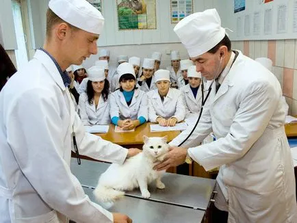 Caracteristici care intră Vitebsk Academia Veterinară