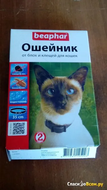 Преглед на яката срещу бълхи и кърлежи за котки Beaphar втора степен на защита, е необходимо нещо!, Датата на отнемане