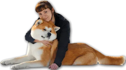 Akita relație cu alte animale de companie