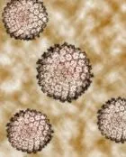 Папиломен - папилома вирус, HPV