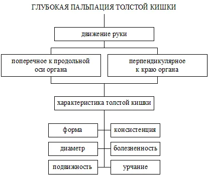 Tapintása a has - studopediya