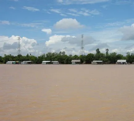 Pangasius din Vietnam