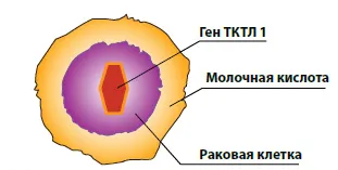 Хранене по онкология - практически препоръки