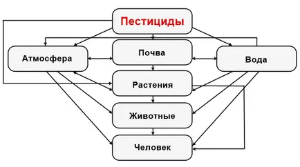 Пестициди - класификация, видове, въздействие върху човешкото, пчели и почвата