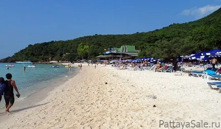 Pattaya Beach - opinie (Ko Lan, înot, abur), Pattaya, Pattaya ieftine, Pattaya, Pattaya