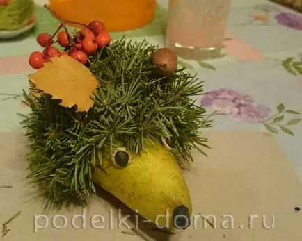 artizanat Hedgehog din materiale naturale, o cutie de idei și ateliere