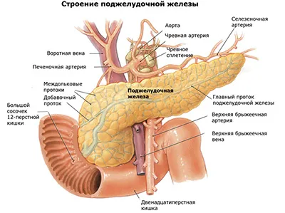 remedii populare de tratament Pancreas