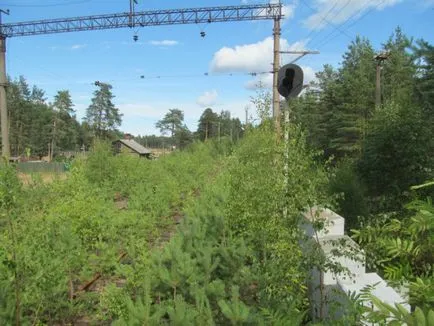 O excursie la Fort Krasnaya Gorka