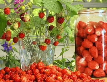 Proprietăți utile de căpșuni, compoziția chimică a capsuna, valoarea nutritivă a rețetelor