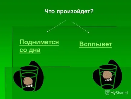 Представяне на дома експеримент мога да плувам картофи могат да плуват Дали картофи