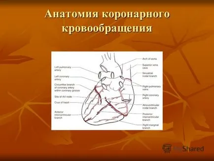 при представяне на коронарна болест на сърцето и оперативно лечение на проблем професор