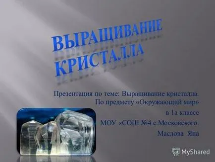 Представяне на дома експеримент мога да плувам картофи могат да плуват Дали картофи