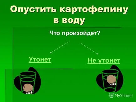 Представяне на дома експеримент мога да плувам картофи могат да плуват Дали картофи