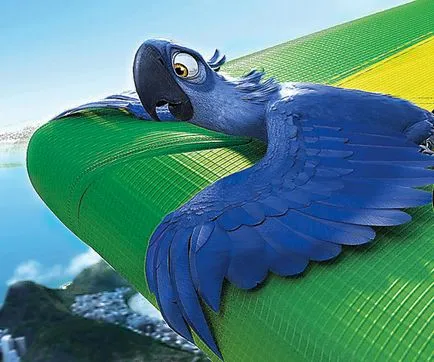 Premiere - Rio utolsó papagájok - ♬ ▂ ▃ ▅ ▆
