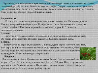 Представяне - светкавици, змии, кучета и други (3-та степен) - свободно изтегляне