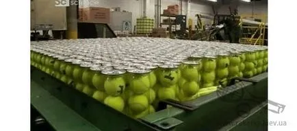 Producția de mingi de tenis - la fel ca și mingi pentru tenis