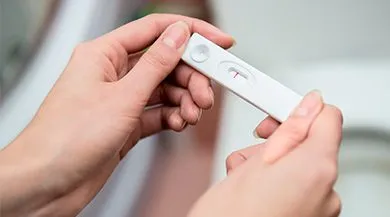 Motherwort по време на бременност, може да получите най-ранните и късните етапи