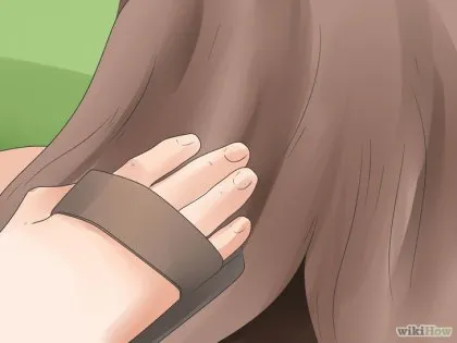 Cum se împletească coama unui cal
