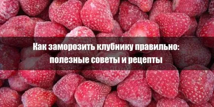 Как да замрази ягоди правилните съвети и рецепти, полезни съвети