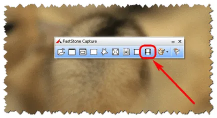 Как да се запишете екран видеомонитор с помощта на програма за улавяне FastStone