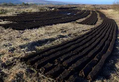 Topsoil - garanție a fertilității terenurilor - solurile fertile