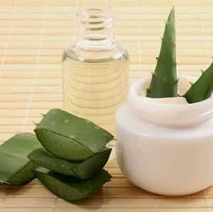 Receptek aloe