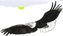 Paint fluturi în etape - cum să atragă un creion de desen pasăre păsări
