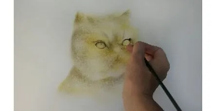 Desenați o pisică în tehnica perie uscată - Masters Fair - manual, manual