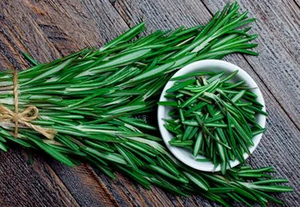 Rosemary officinalis használják a gyógyászatban és a kozmetikai