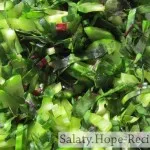 Saláta spenót, uborka „saláta receptek