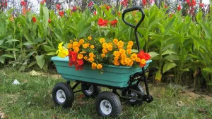 Garden Wagon - незаменимата асистент в селска къща на клип