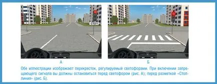 trafic semnale și controlor de trafic - șofer novice avtoblog