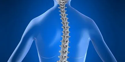 Scoliosis - görbület a gerinc, fajta, milyen mértékben, a kezelés, fotók