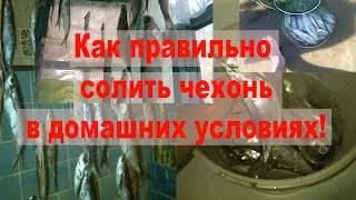 Гледайте видеото като сол Пелед дома свободни условия