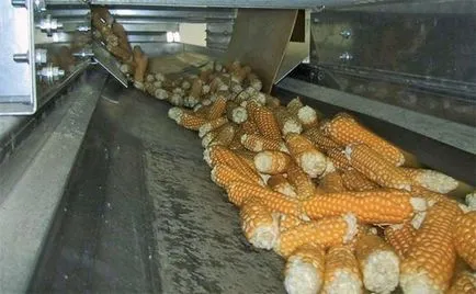 Оборудване за сушене на царевица, правилният избор на сушилня модели