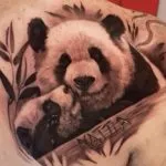 tatuaj Panda pentru bărbați și femei - schițe, fotografii sensul