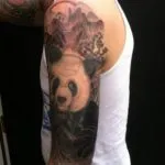 tatuaj Panda pentru bărbați și femei - schițe, fotografii sensul