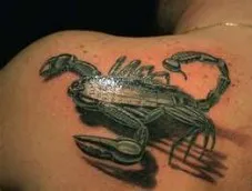 Scorpion tatuaj care înseamnă fotografii și schițe ale unui tatuaj scorpion
